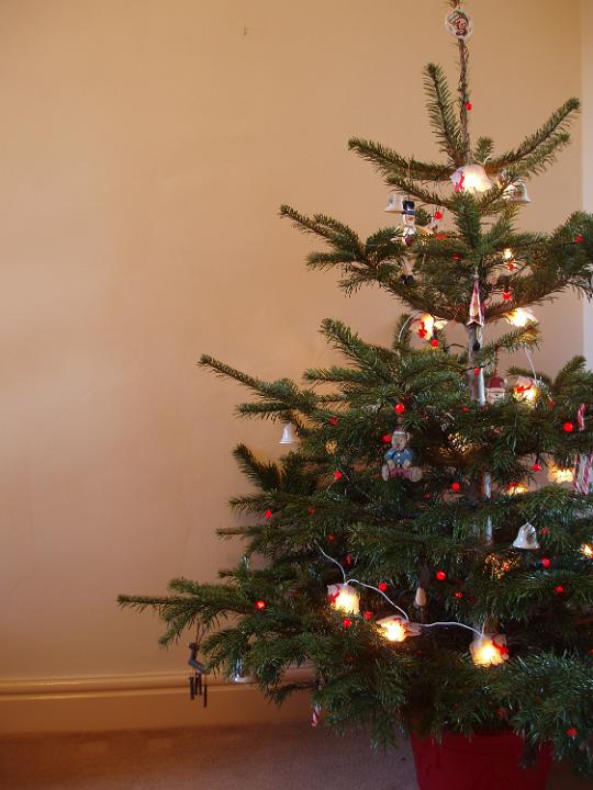 a traditional christmas tree with red berry lights and hanging decorations