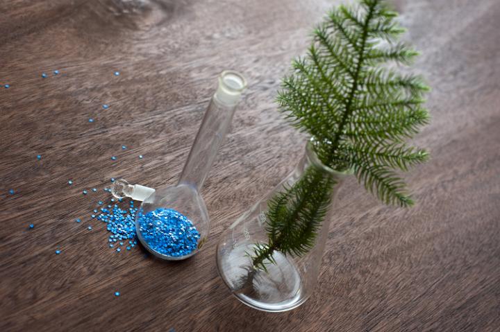 christmas tree branch and glitter in chemisty jars