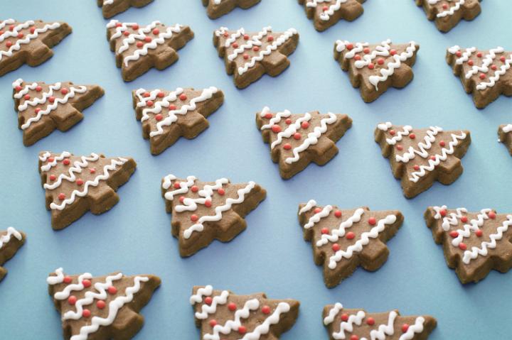 Cool blue background of decorated gingerbread Christmas trees arranged in neat rows for a full frame view of traditional Xmas seasonal fare