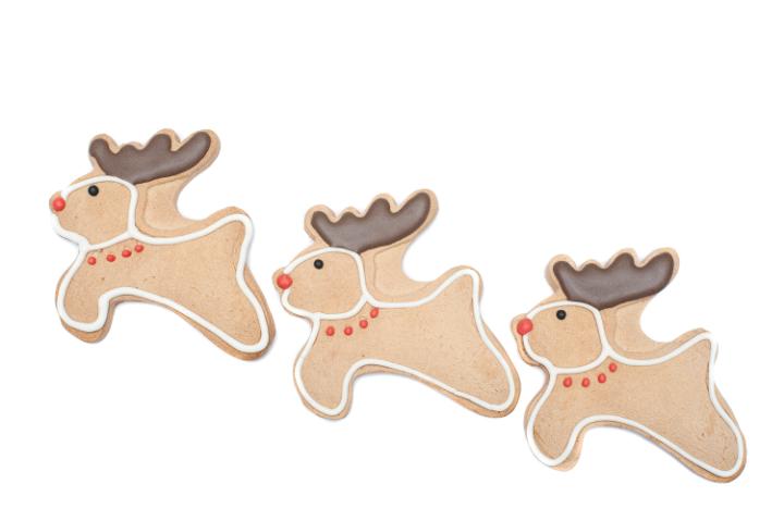 Three reindeer Christmas cookies with cute little leaping deer with red noses and chocolate antlers for a tasty seasonal treat isolated on a white background
