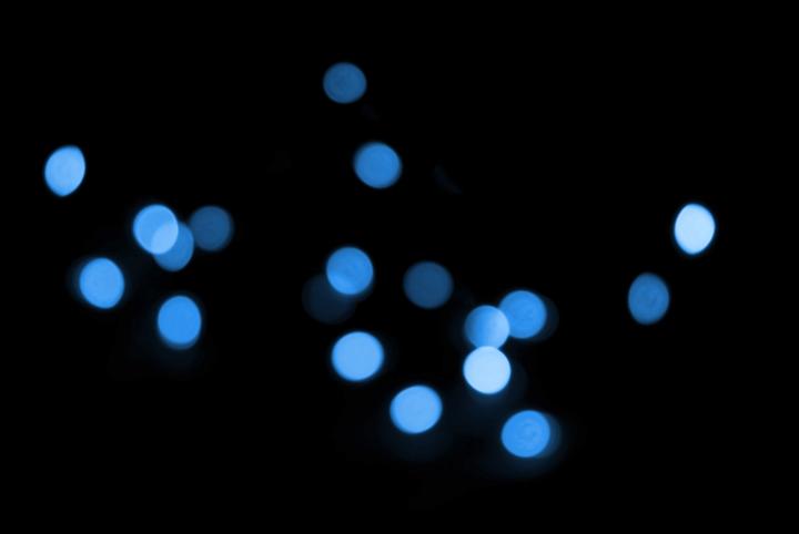 a seasonal background made from out of focus blue LED chrismas lights