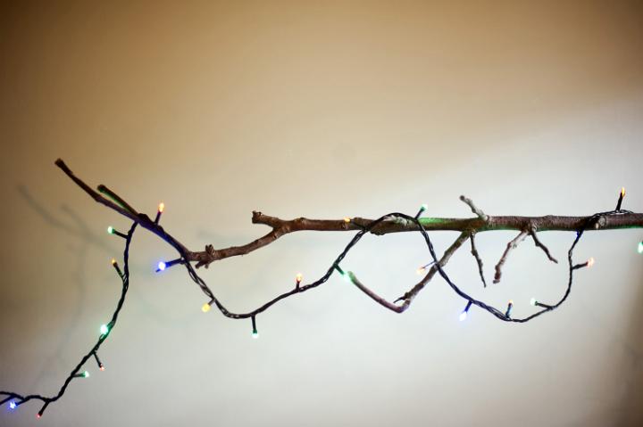 Lighted Christmas garland on leafless branch. Concept