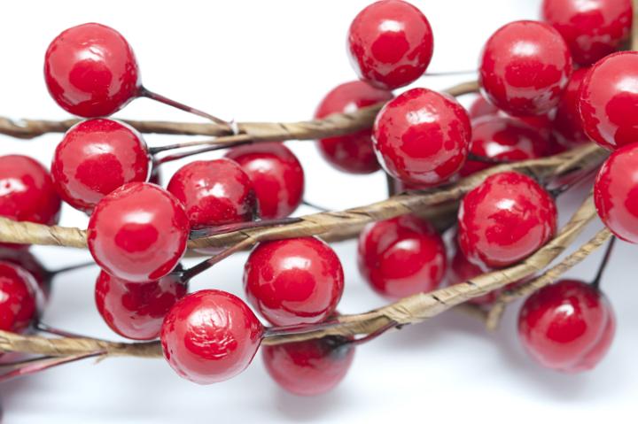 Bright red Christmas berry decoration in a close up view over a white background for a festive holiday card