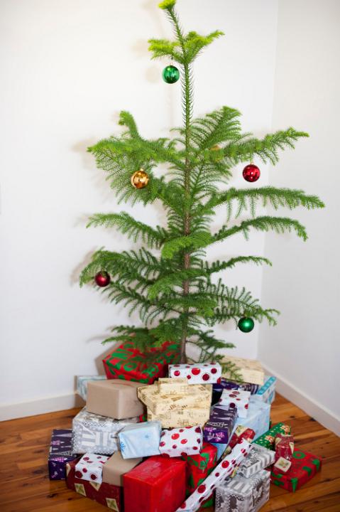 Decorated evergreen natural pine Christmas tree surrounded with colourful presents gift-wrapped in pretty patterned paper