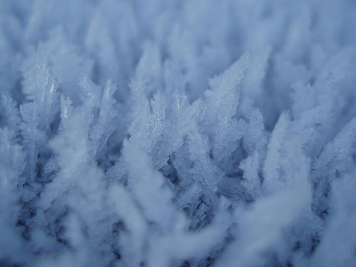 ice crystals grown over several frosty winter nights
