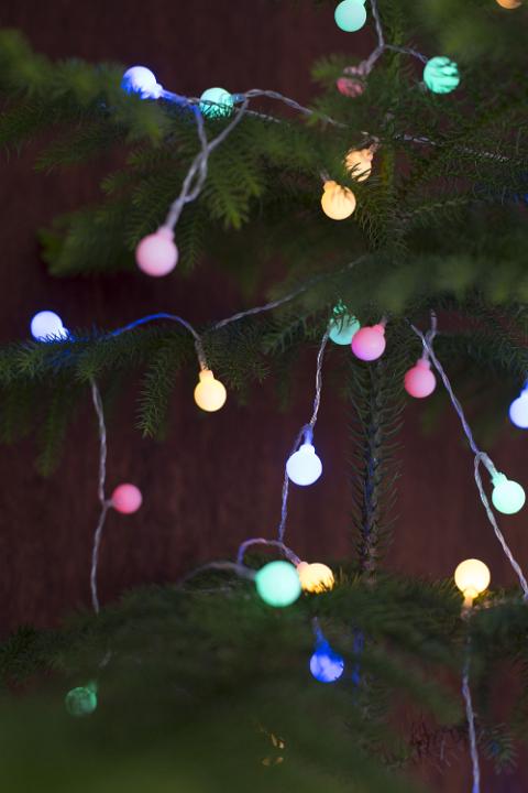 Colorful glowing round Christmas tree lights to celebrate the holiday season strung on a natural pine tree